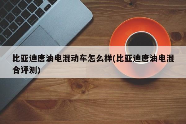 比亚迪唐油电混动车怎么样(比亚迪唐油电混合评测)