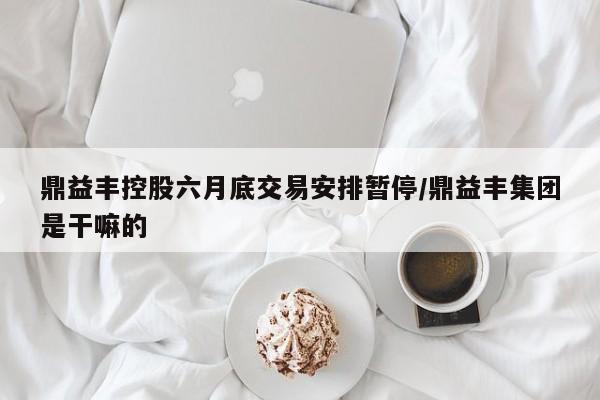 鼎益丰控股六月底交易安排暂停/鼎益丰集团是干嘛的