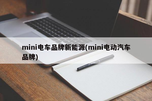 mini电车品牌新能源(mini电动汽车品牌)